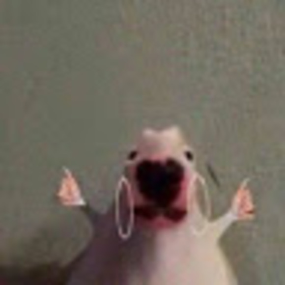 Poshmark profile picture for @pharmaceuticals